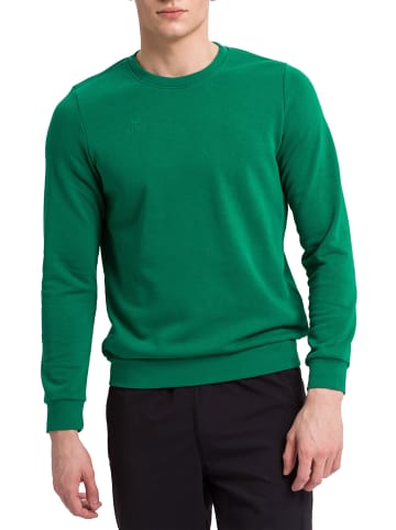 erima Sweatshirt in smaragd