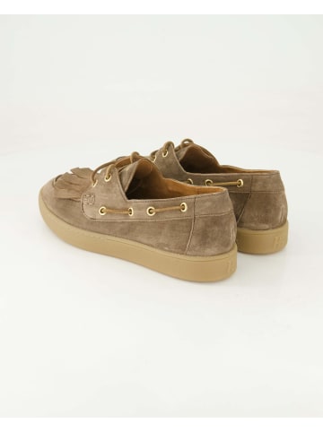 Paul Green Klassische Schnürschuhe in Braun