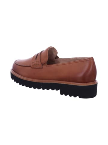 Paul Green Slipper in braun