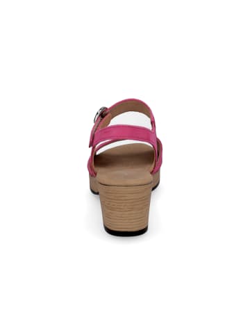 Gabor Comfort Sandalette Kreta in Pink