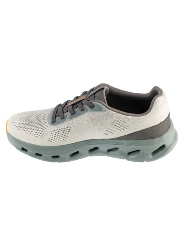 Skechers Skechers Go Walk Glide-Step 2.0 in Grau
