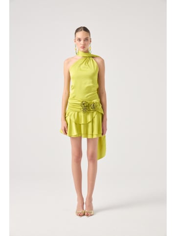 Holly Lolly Kleid in Grün