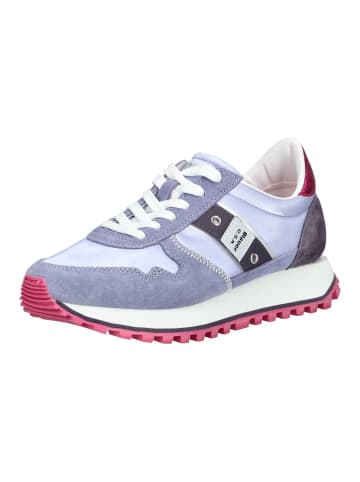 BLAUER USA Sneaker in Lila