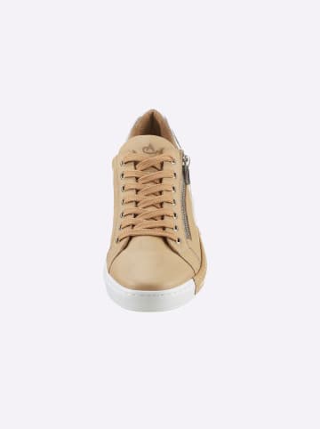 Andrea Conti Sneaker in camel