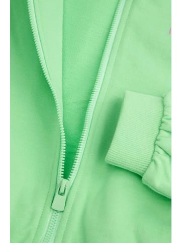 Coccodrillo Bomberjacke in grün