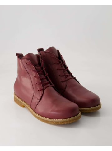 Andrea Conti SHOES Schnürstiefeletten in Bordeaux