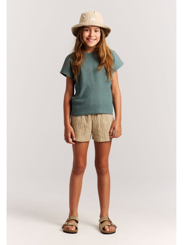 Protest " PRTDionna JR in Laurelgreen