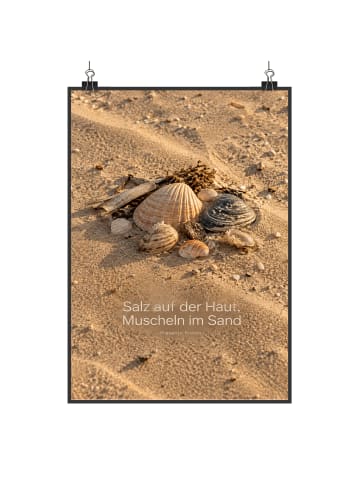 Poster Muscheln nostalgisch Design mit Spruch in Weiß