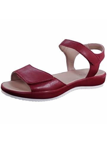 ara Komfort Sandale in rot