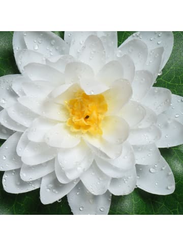 MARELIDA Kunstblume Seerose in weiß - D: 20cm