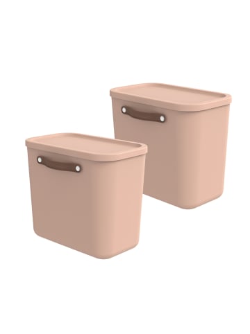 Rotho 2er-Set Kiste mit Deckel Maloja 25l in Meadow rose