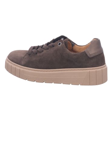 Gabor Sneaker Low in braun