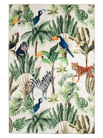 obsession Teppich Exus 223 in multi - rechteckig