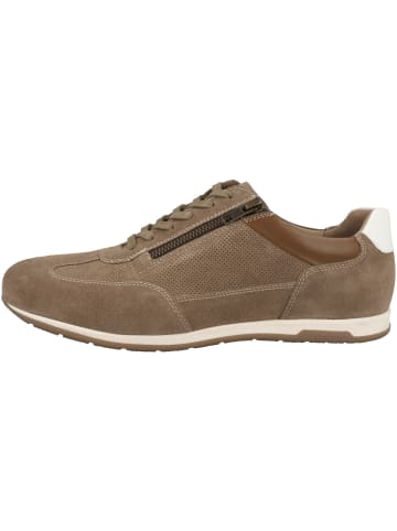 Josef Seibel Sneaker low Colby 03 in braun