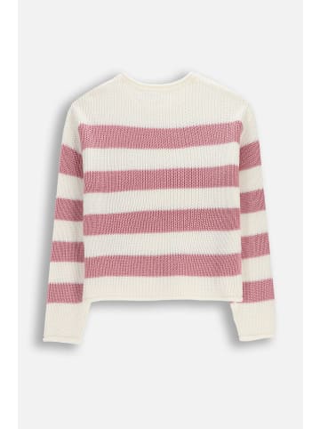 Coccodrillo Strickpullover in rosa