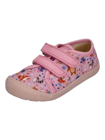 KOEL Sneaker Low DUD PRINT in bunt