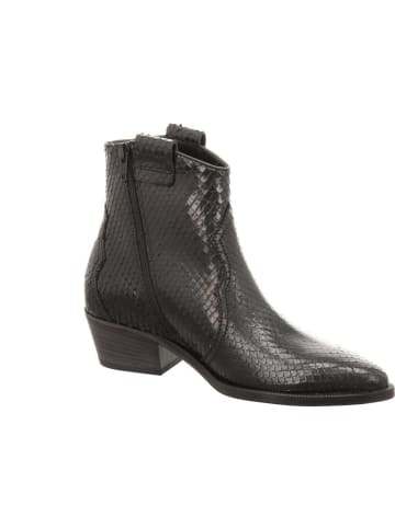 Kennel & Schmenger Stiefelette in schwarz