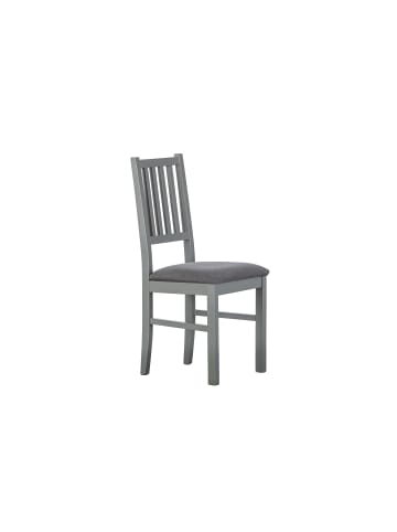 ebuy24 Esszimmerstuhl Luzerna Grau 2er Set