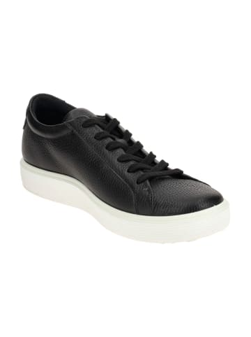 Ecco Sneaker Low in Schwarz