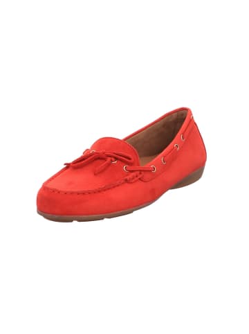 Gabor Slipper in fire