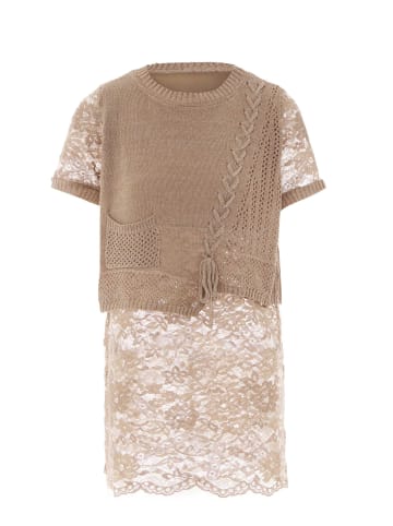 Usha Women Sweater in Taupe