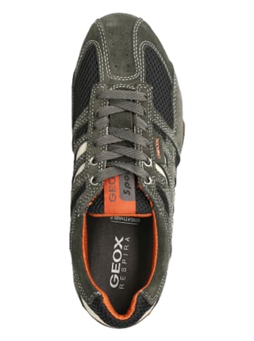 Geox Sneakers Low U Snake K Scam.+Mesh in grau