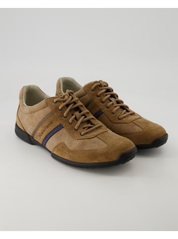 Pius Gabor Sneaker low in Braun