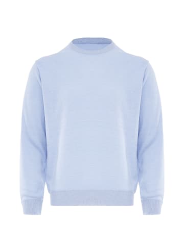 celocia Pullover in Hellblau Melange