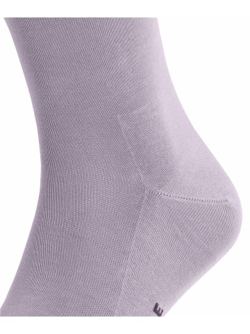 Falke Socken Tiago in Lilac tint