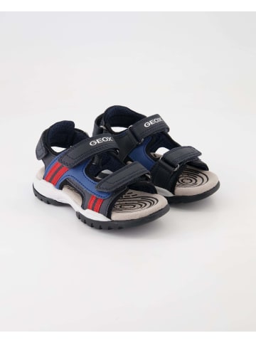 Geox Sandalen in Schwarz