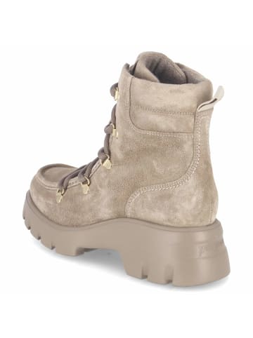 Paul Green Schnürboots in beige
