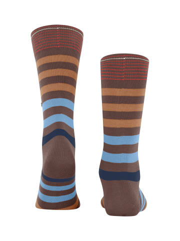 Burlington Socke Blackpool SO in Brown tan