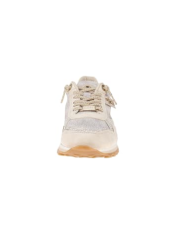 Cetti Sneaker low C-848 SRA V26 in Beige