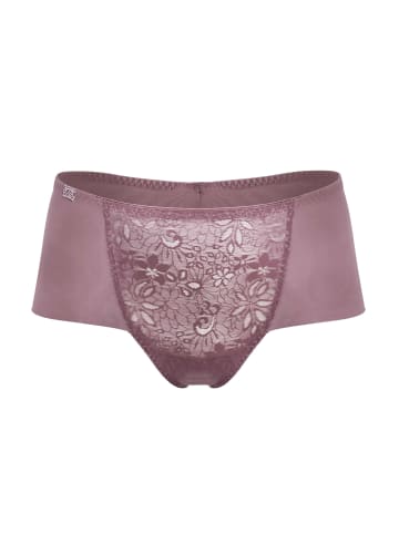 Ulla Panty Alice in Feige