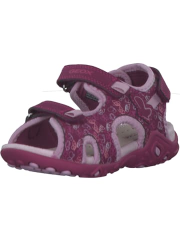 Geox Sandalen in DK RASPBERRY/PINK