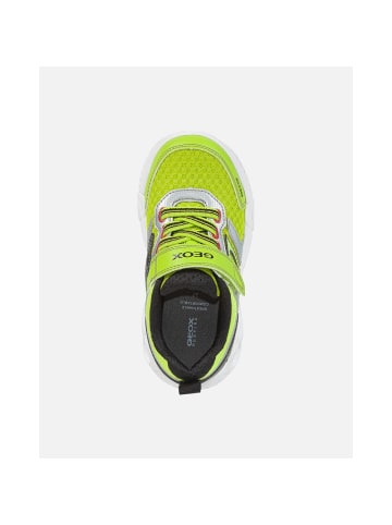 Geox Sneaker J Wroom B.B. in Gelb