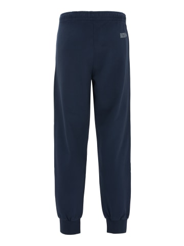 Replay Jogginghose Organic Cotton Fleece in blau