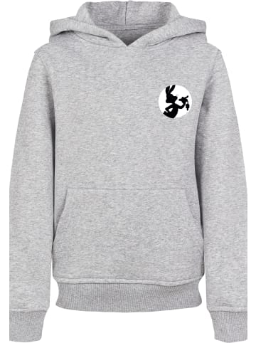 F4NT4STIC Hoodie in heather grey