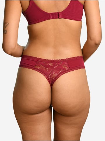 SugarShape String Vienna in bordeaux