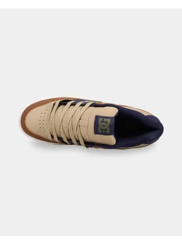 DC Shoes Sneaker Pure in Brown/Navy/Tan