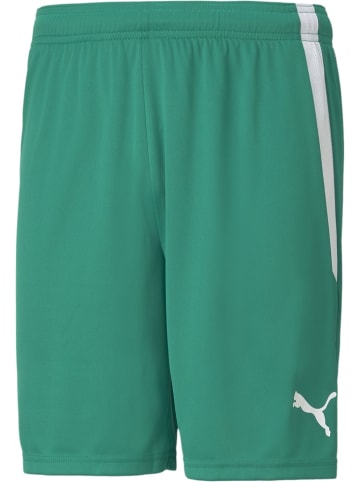 Puma Sporthose "TeamLIGA Shorts" in Grün