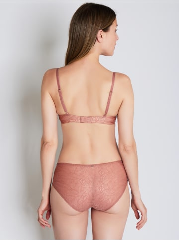 JOOP! Panty Sheer in OPEN PURPLE