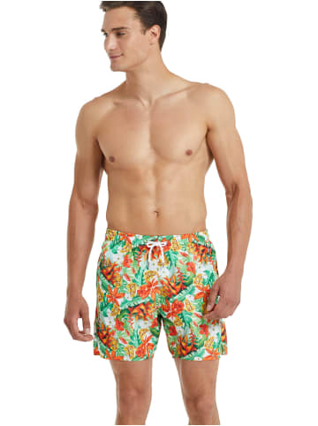 BLACKSPADE Fits perfect Badeshorts Summer Prints mit kurzem Bein in Orange Tropic Print