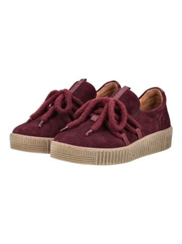 Gabor Sneaker Lila