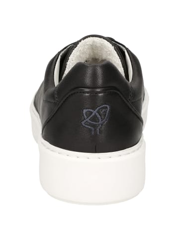 Sioux Sneaker Tils sneaker 003 in schwarz