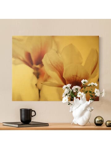 WALLART Leinwandbild Gold - Zarte Magnolienblüten im Lichtspiel in Rosa