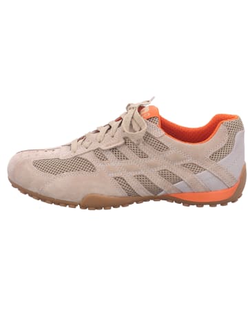 Geox Schnürschuh in beige