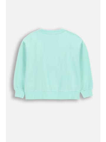 Coccodrillo Baumwoll-Trainingsjacke in grün