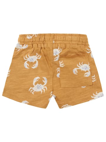 Noppies Shorts Munhall in Apple Cinnamon