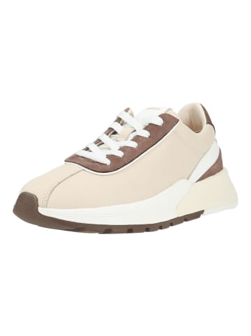 Geox Sneaker METROPOLI in Beige